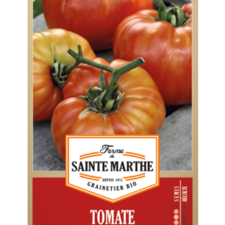 Tomate Sainte Lucie