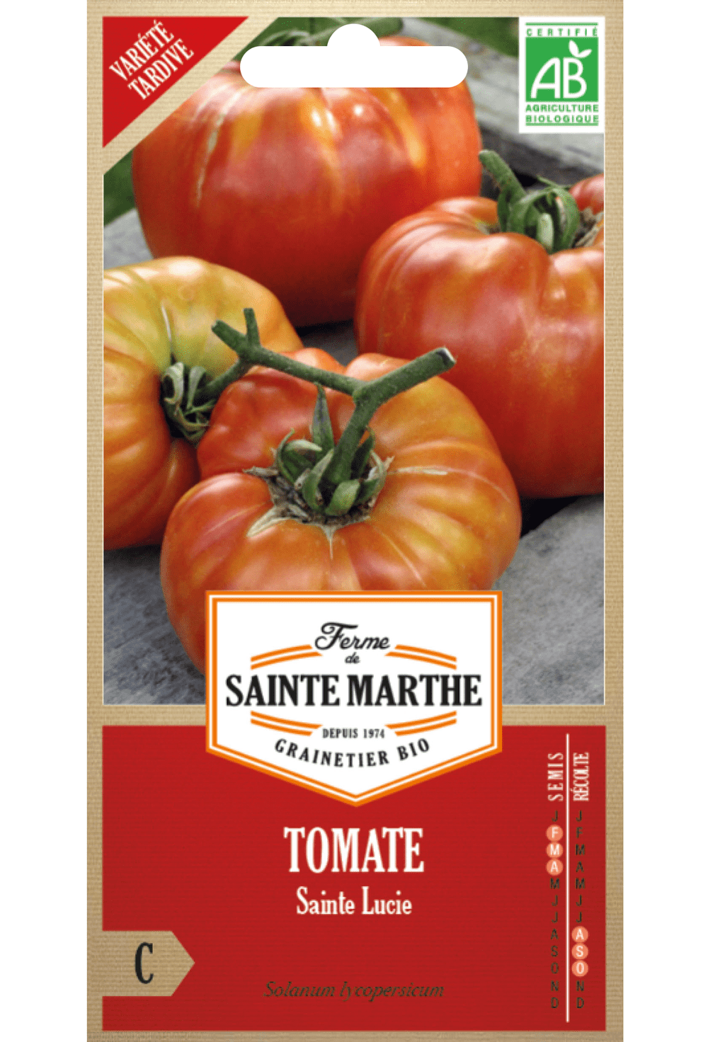 Tomate Sainte Lucie