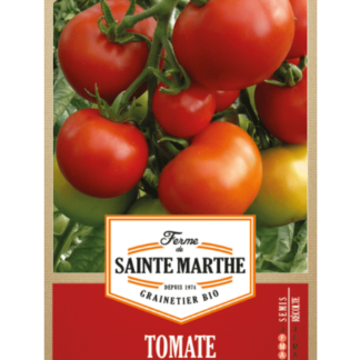 Tomate Moneymaker