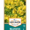 Millepertuis Perforé
