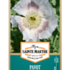 Pavot des Jardins Blanc