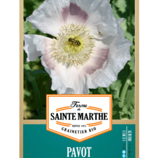 Pavot des Jardins Blanc