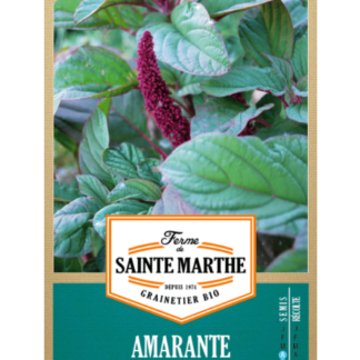 Amarante Rouge