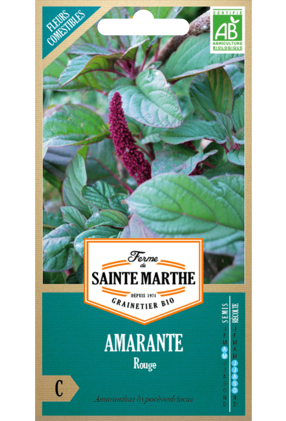 Amarante Rouge