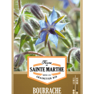 Bourrache Officinale