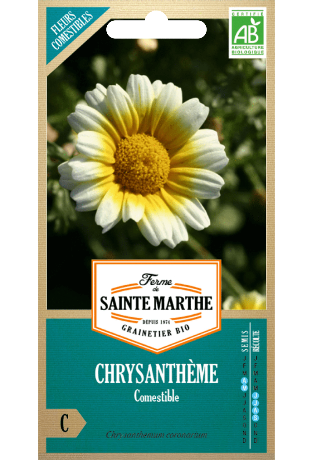 Chrysanthème Comestible