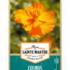 Cosmos Sulphureus Varié