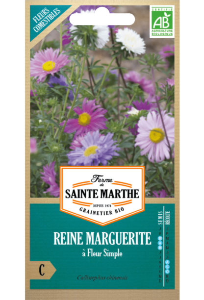 Reine Marguerite à Fleur Simple Variée