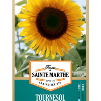 Tournesol Géant