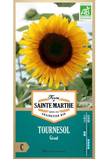 Tournesol Géant