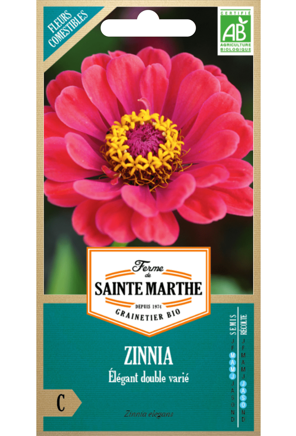 Zinnia Elegans Double Varié