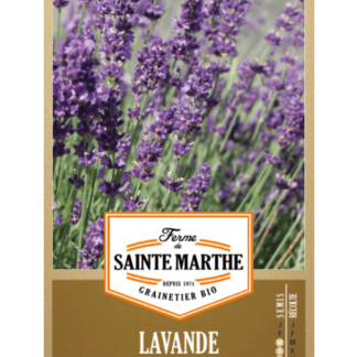 Lavande Officinale