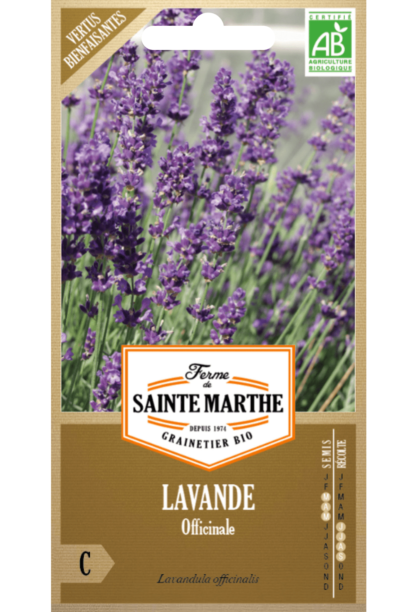 Lavande Officinale