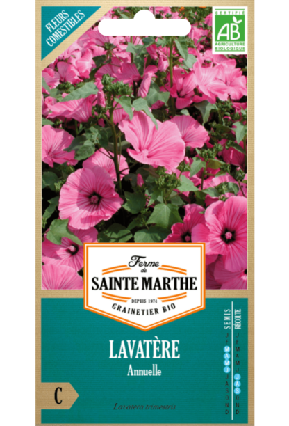 Lavatère Annuelle