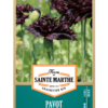 Pavot Black Peony