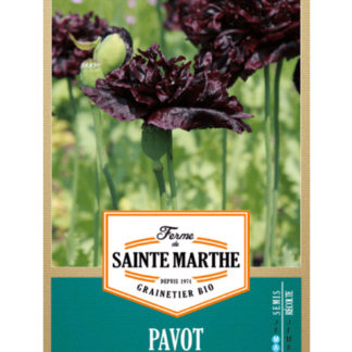 Pavot Black Peony