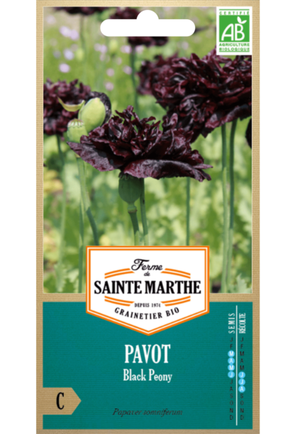 Pavot Black Peony