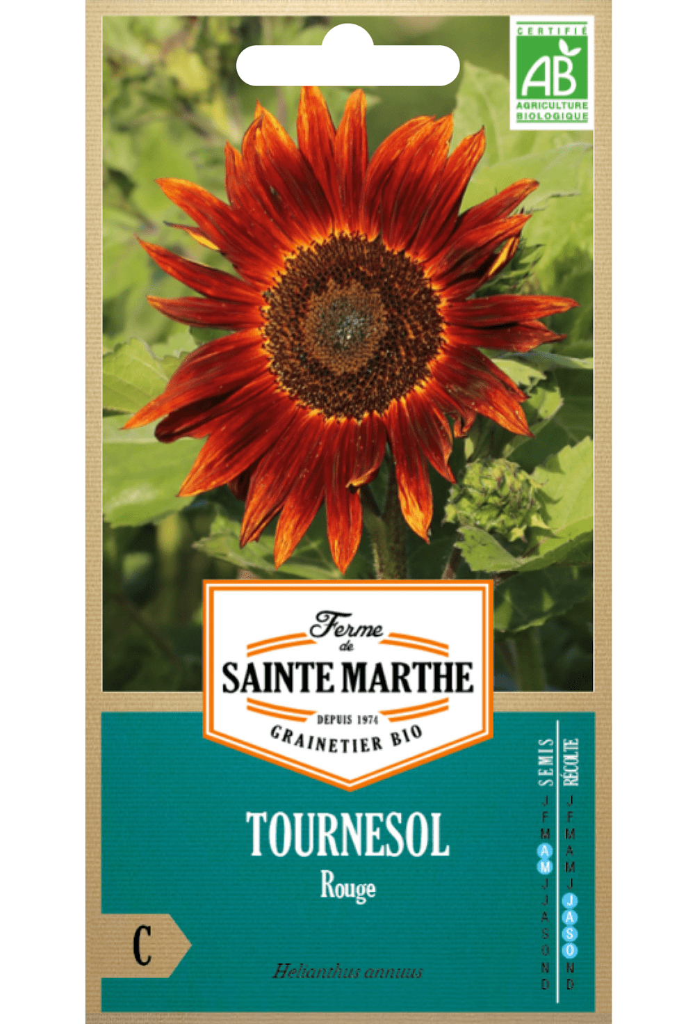 Tournesol Rouge