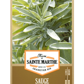 Sauge Officinale