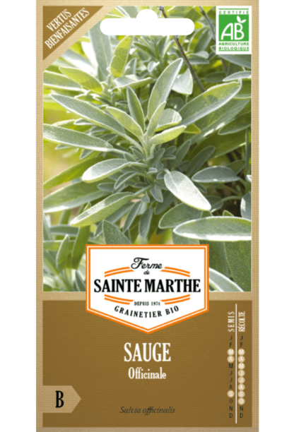 Sauge Officinale