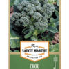 Chou Brocoli Vert Calabrese Natalino