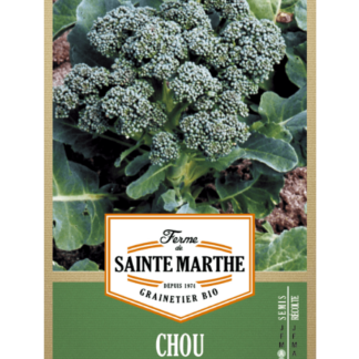 Chou Brocoli Vert Calabrese Natalino