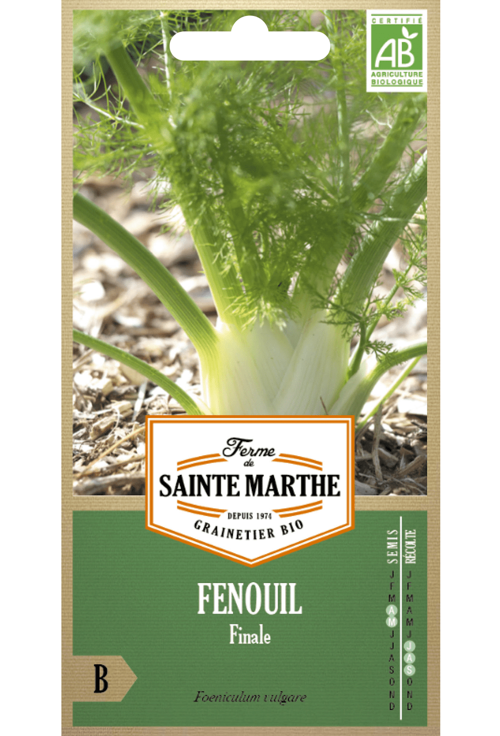 Fenouil Finale