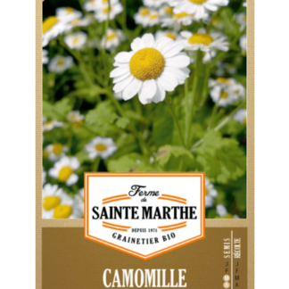 Camomille Matricaire