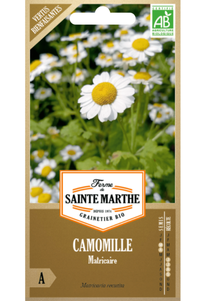 Camomille Matricaire