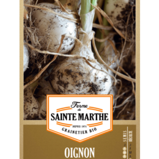 Oignon Blanc de Lisbonne