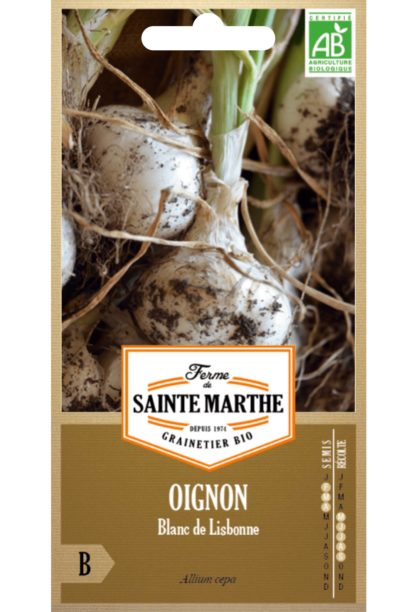 Oignon Blanc de Lisbonne