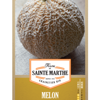 Melon Sucrin de Tours