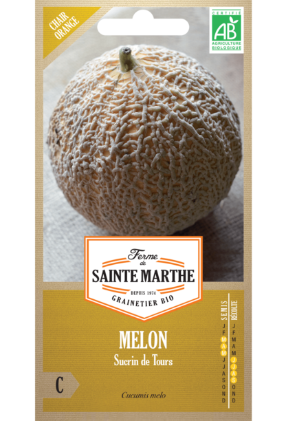 Melon Sucrin de Tours