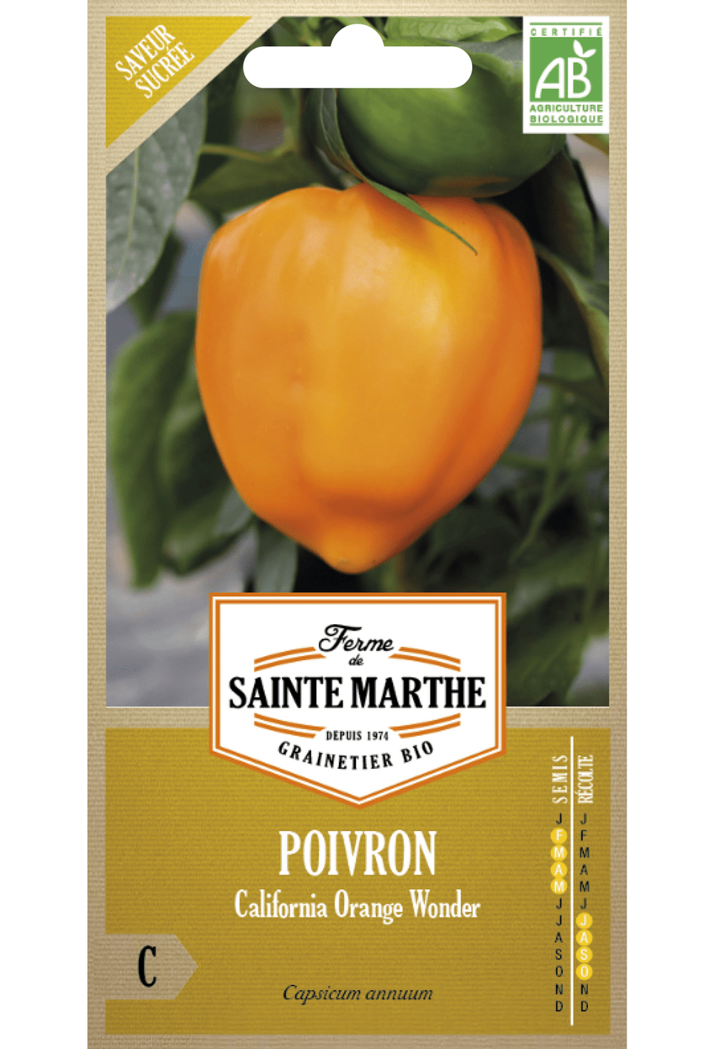 Poivron California Orange Wonder