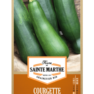 Courgette Verte Non Coureuse des Maraîchers