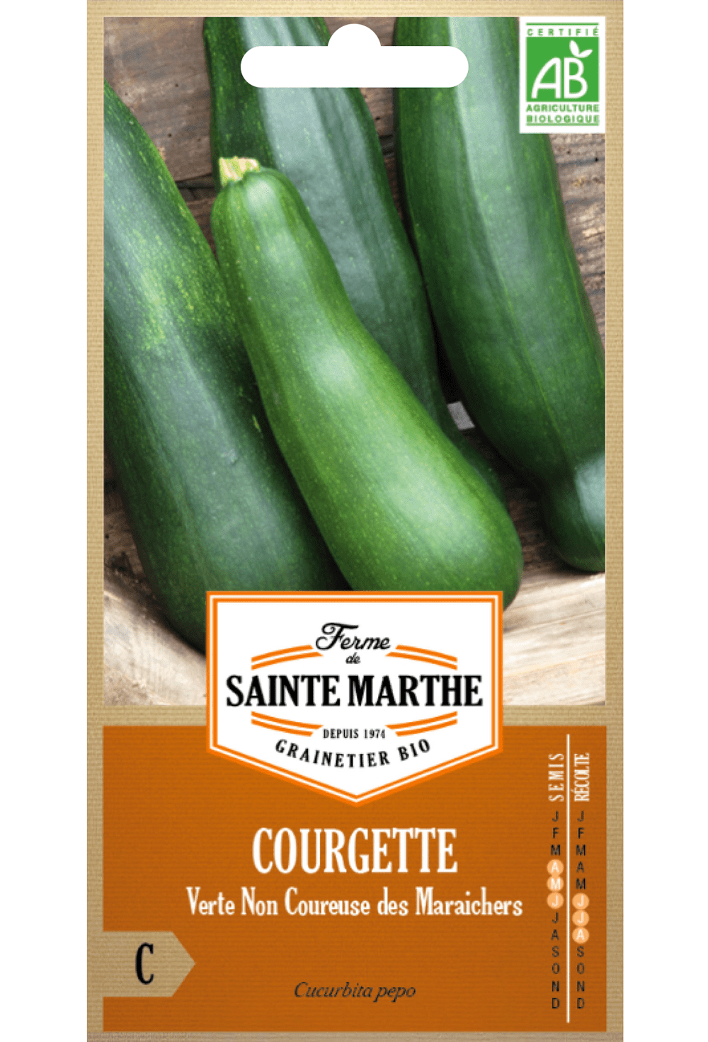 Courgette Verte Non Coureuse des Maraîchers