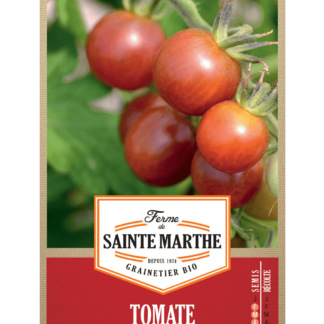 Tomate Black Cherry