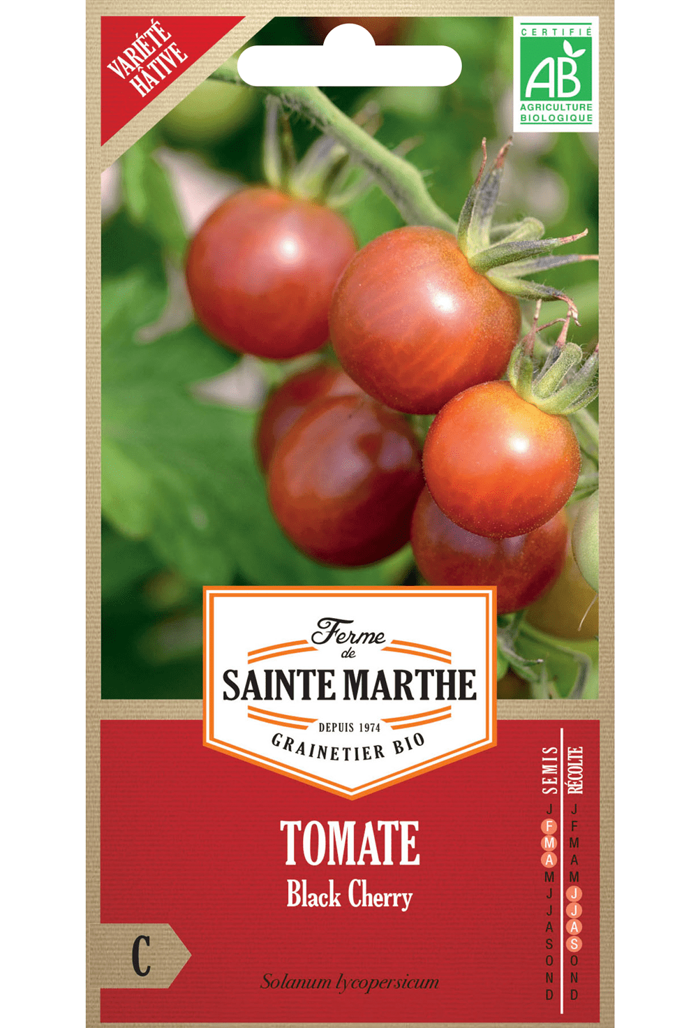 Tomate Black Cherry