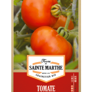 Tomate Marmande