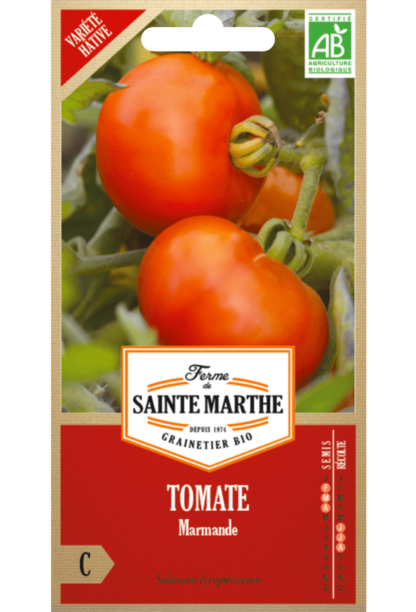 Tomate Marmande