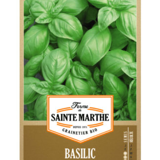 Basilic Genovese