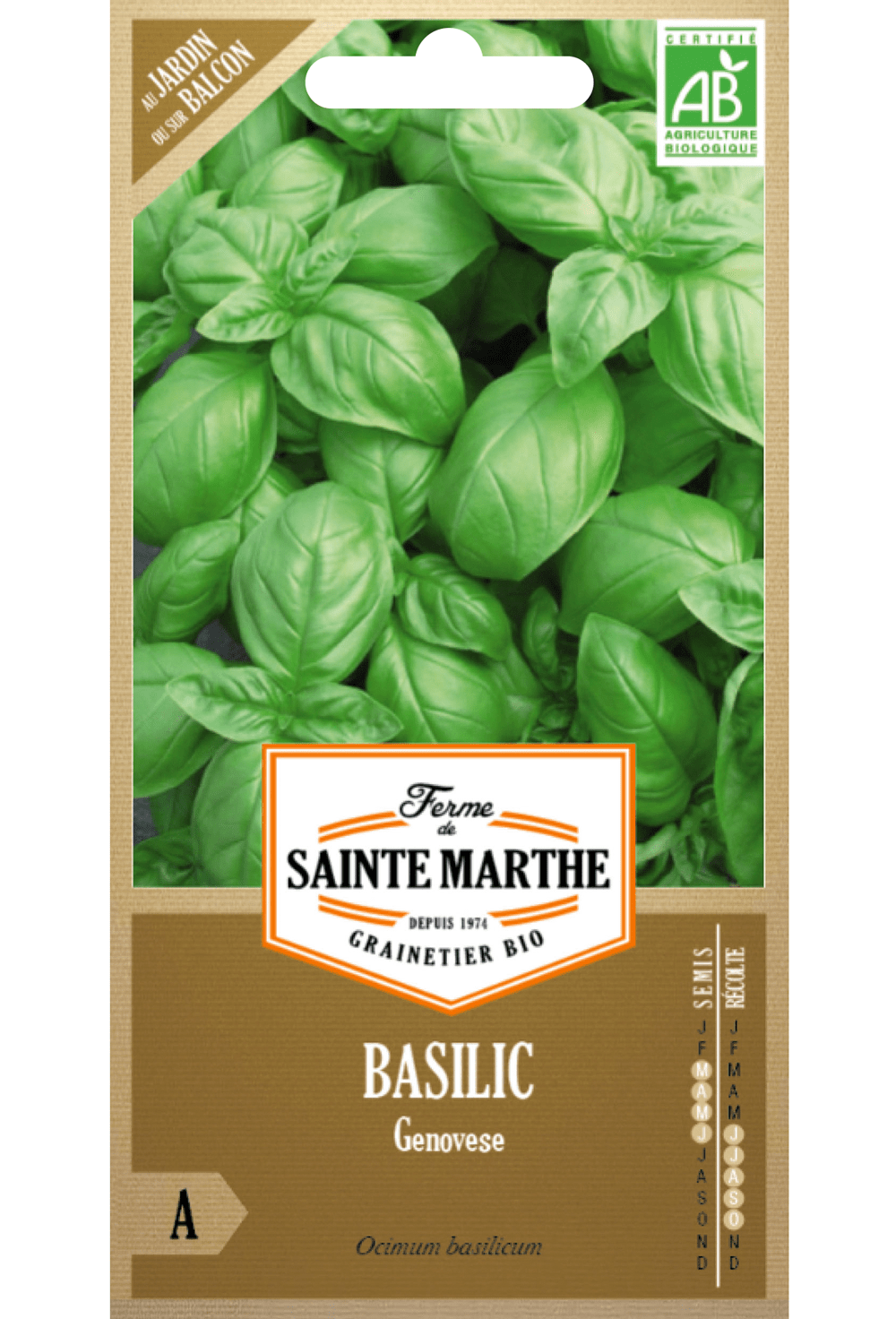 Basilic Genovese