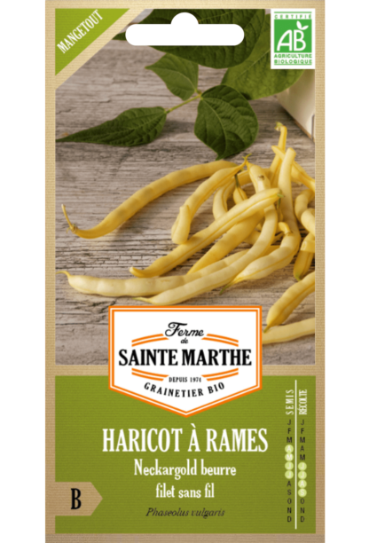 Haricot à rames Neckargold beurre