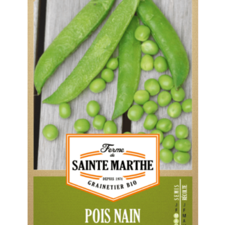 Pois nain Merveille de Kelvedon