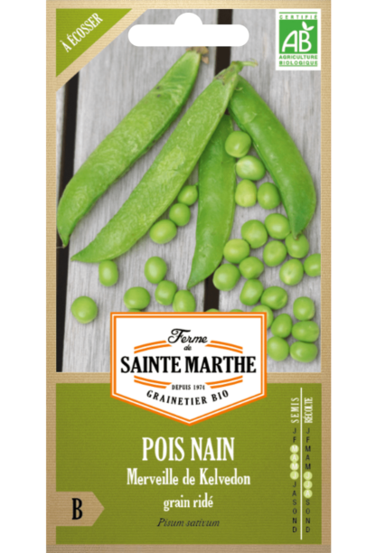 Pois nain Merveille de Kelvedon