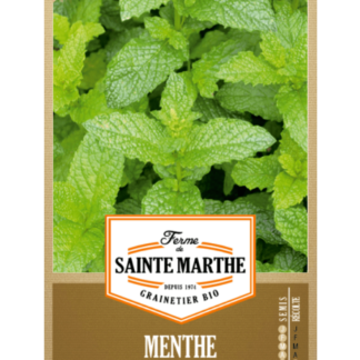 Menthe Verte