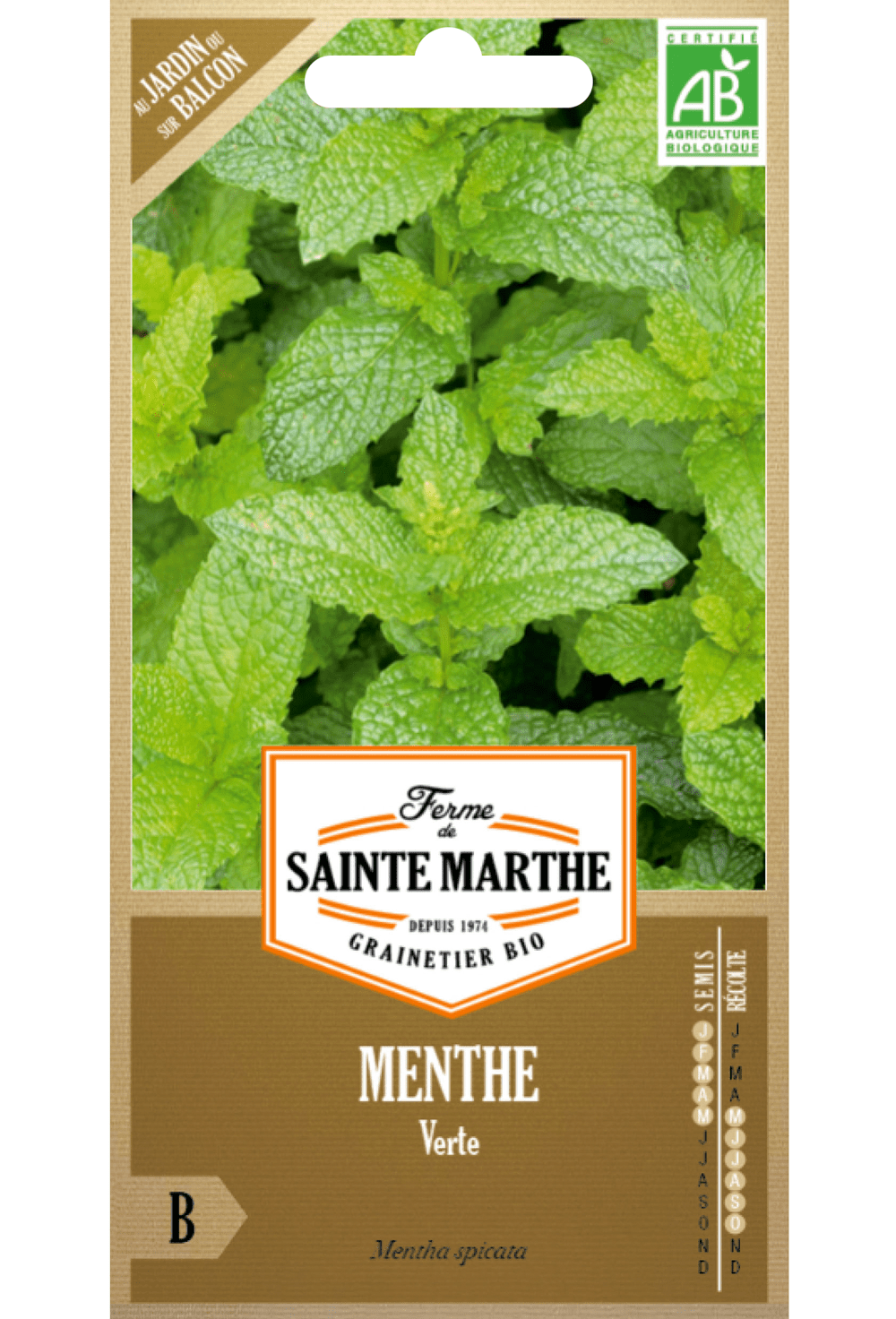 Menthe Verte