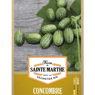 Concombre à Confire