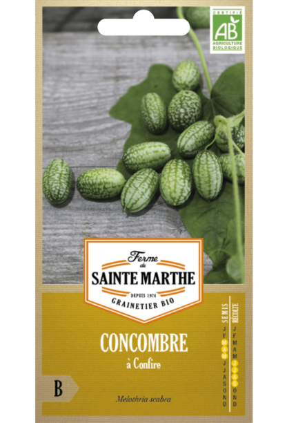 Concombre à Confire