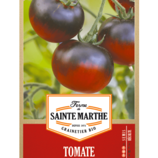 Tomate Bleue P20